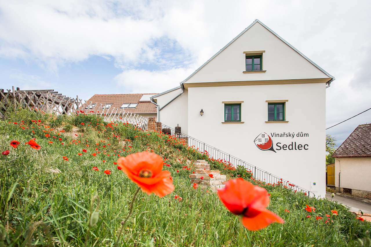 Vinařský dům - Sedlec