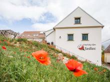 Vinařský dům - Sedlec