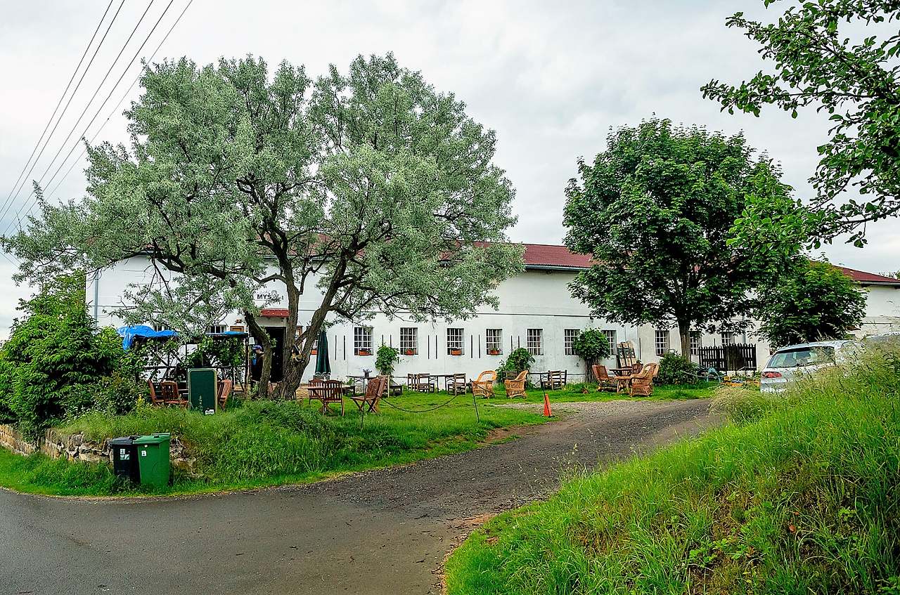 Nostalgická myš - Šemanovice