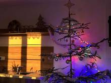 Apartmán na samotě u lesa - České Petrovice