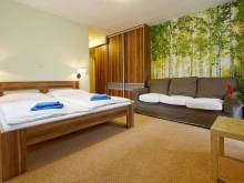 Pension Hollmann - Harrachov