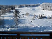 Pension Hollmann - Harrachov