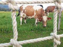 Farma Menšík - Kunčice pod Ondřejníkem