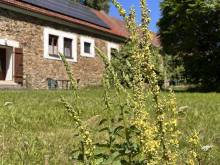 Venkovské apartmány u Jindřichova Hradce - Polště