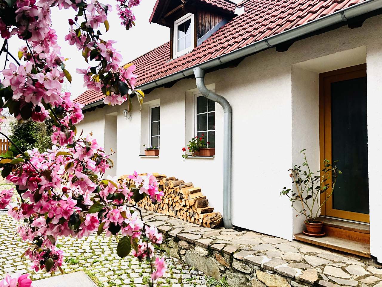 Pronájem apartmánu - Jílovice