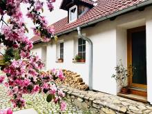 Pronájem apartmánu - Jílovice