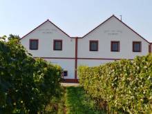 Penzion a vinařství Lelíkovi - Dolní Dunajovice