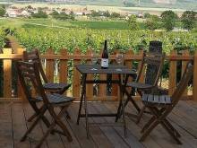 Penzion a vinařství Lelíkovi - Dolní Dunajovice