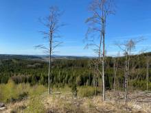 Ubytování u Kapličky - Kunějov