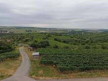 Sklípek pod vinohrady - Mutěnice