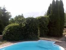 Chaloupka v Podyjí - Podmolí