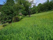 Na kovárně - Stříbrnice