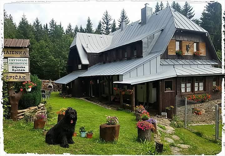Hájenka - Špičák