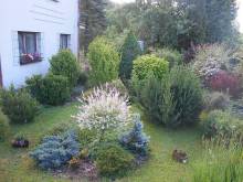 Ubytování U babičky - Velké Losiny