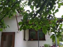 Ubytování U babičky - Velké Losiny