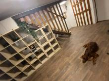 Dědova chata - Čenkovice