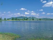 Penzion u Divokých - Brod nad Dyjí