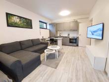 Apartment Mumlava I - Harrachov