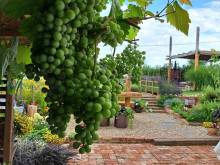 Apartmány Buket - Pavlov