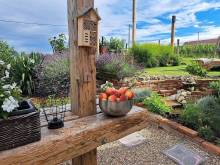 Apartmány Buket - Pavlov