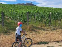 Apartmány Buket - Pavlov