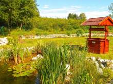Chaty - Svojanov u Mohelnice