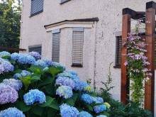 Domek pod vistárií - Třeboň