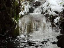 Pod Černou - Bolkov