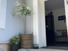 Pod Černou - Bolkov