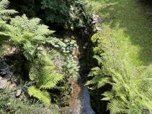 Pod Černou - Bolkov