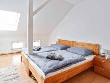 Apartmán u Maxíků - Čistá v Krkonoších