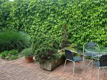 Apartmán k pronajmutí - Hůry