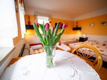 Apartmán Výhled - Přibyslav