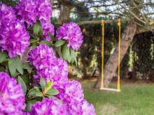 Vila Les Království - Nemojov