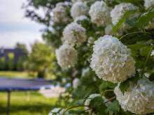 Vila Les Království - Nemojov