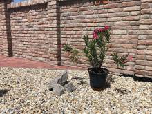 Dům na jihu - Valtice