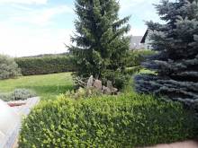 Ubytování - apartmán - Holetín
