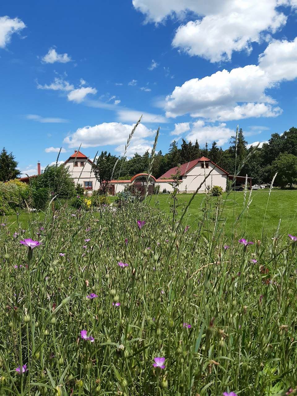 Samota u lesa - Laziště