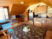 Apartmány ve Srubu - Jenišov