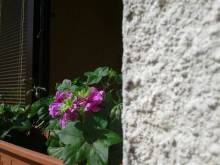 Apartmán ASEJ - Domašov