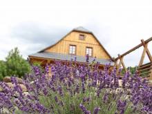 Roubenky pod oborou - Loučná nad Desnou