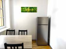 Apartmány Říčky - Říčky v Orlických horách