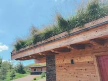 Chalets Resort - Cínovec