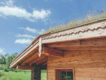 Chalets Resort - Cínovec