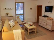 Apartmán Resident A001 - Nový Svět