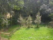 Apartmány Gambit - Strmilov