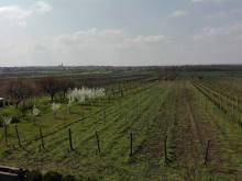 Ubytování Obzor - Velké Bílovice