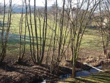 Penzion Kochavec - Kochavec