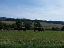 Penzion Kochavec - Kochavec