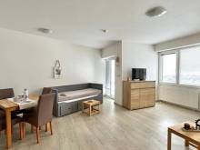 Apartmán Lamba Klínovec - Loučná